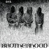 DYS "Brotherhood" LP (Green Vinyl)